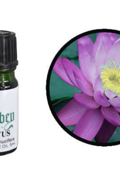 Pink Lotus Absolute Oil