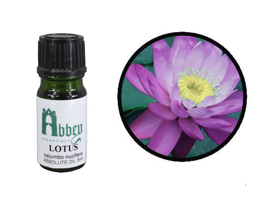 Pink Lotus Absolute Oil